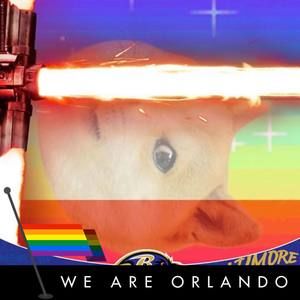 Meet your Posher, Spencer